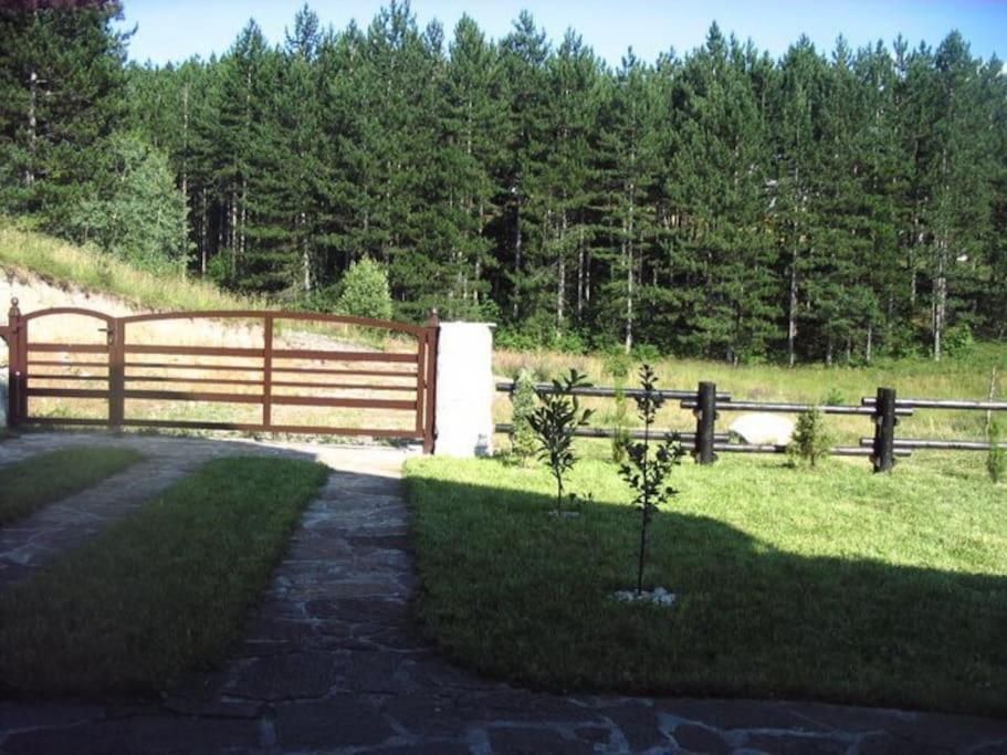 Vikendica Zivotic Holiday home
